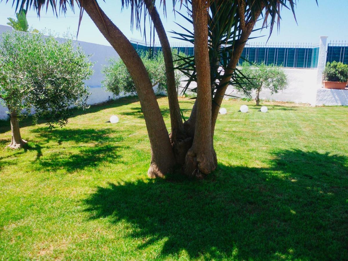 B&B Zagara Marsala Exteriör bild